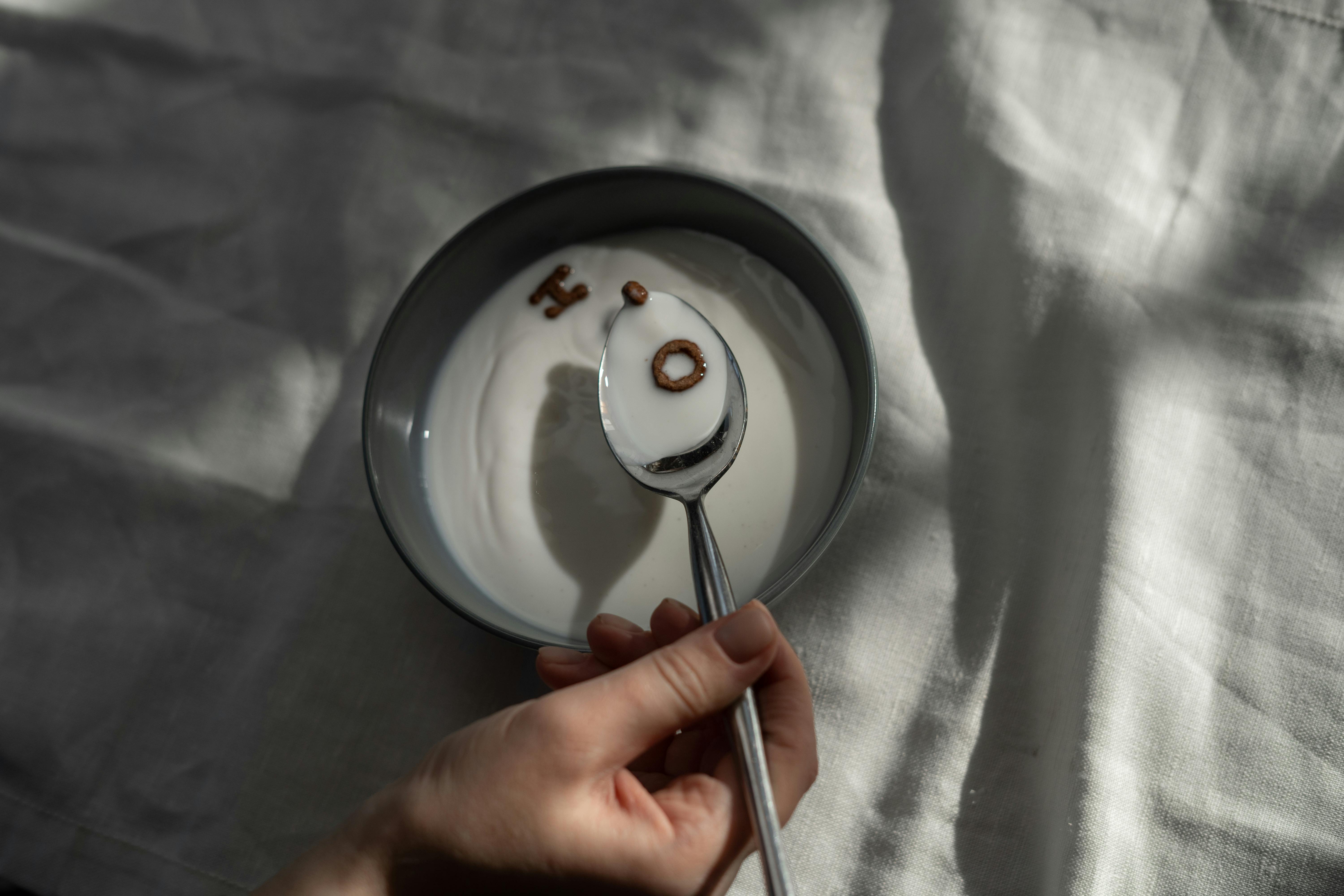 Smart Ways to Utilize an Animal-Based Diet for Better Health in 2025