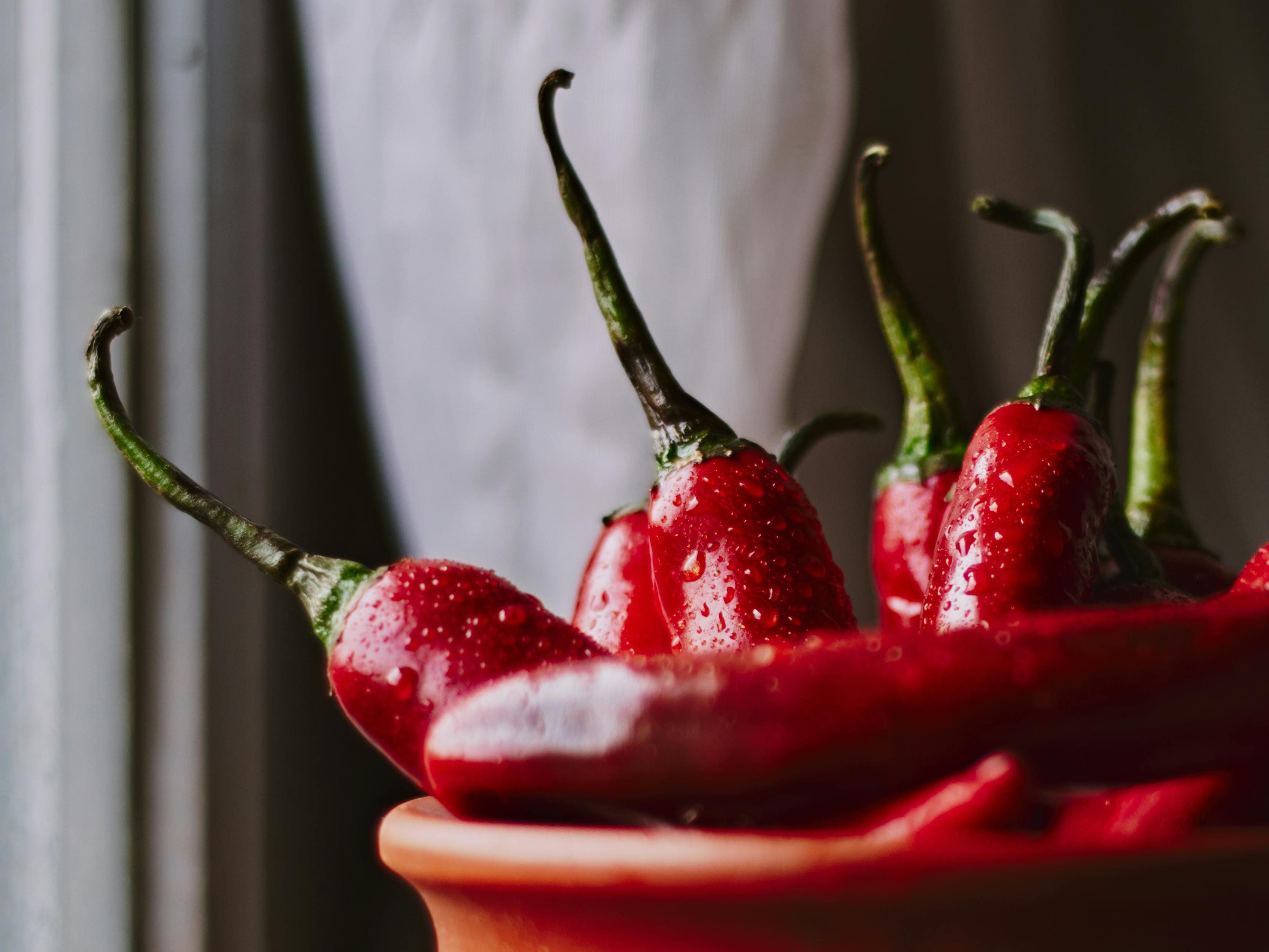 Effective Ways to Enhance Your Wahls Diet in 2025